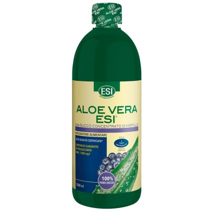 ALOE VERA SUCCO MIRTILLO 1000M