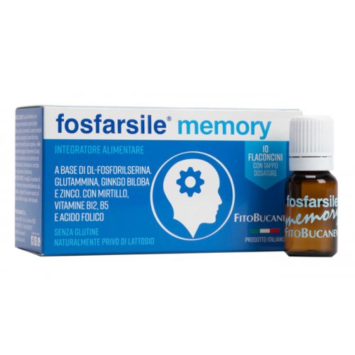 FOSFARSILE MEMORY INT 10FLNI