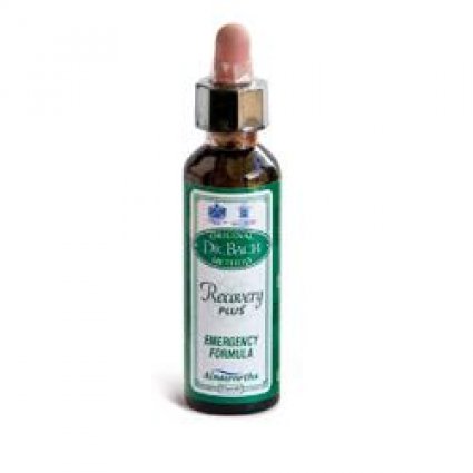 AINSWORTHS Recov Plus 20ml STV