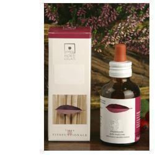 CORNUS SANGUINEA MG 50ML STV