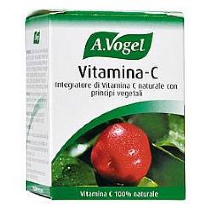 FdL Vitamina C 40 Past.41,5g