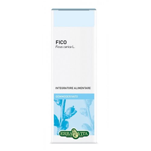 GEMMODERIVATO FICO 50ML