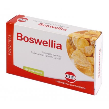 BOSWELLIA ESTR SEC 60CPR 24G K