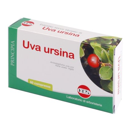 UVA URSINA E.S. 60 CPR 300MG K UVA URSINA E.S. 60 CPR 300MG K