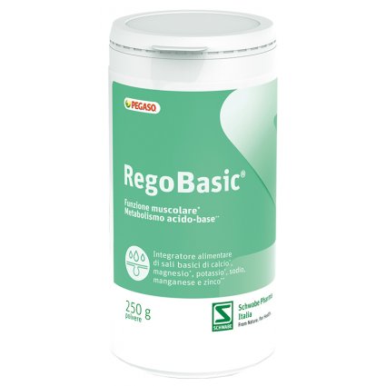 REGOBASIC POLVERE 250G