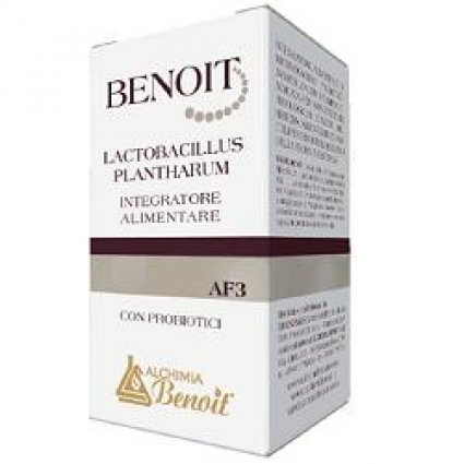 BENOIT LACTOBACILLUS PLANTHARU