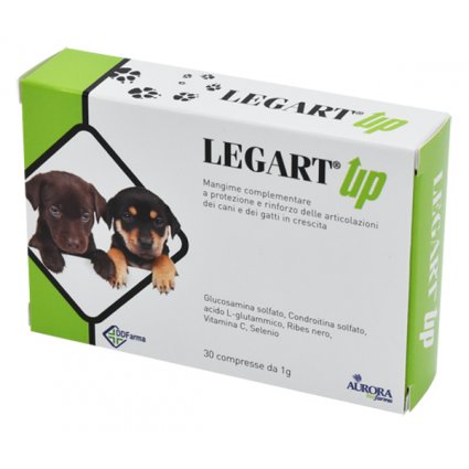 LEGART UP 30CPR