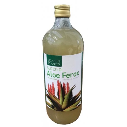 SUCCO ALOE FEROX BIO 1LT