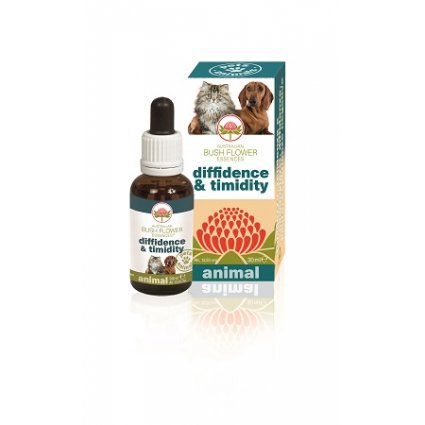 DIFFIDENCE & TIMIDITY 30ML