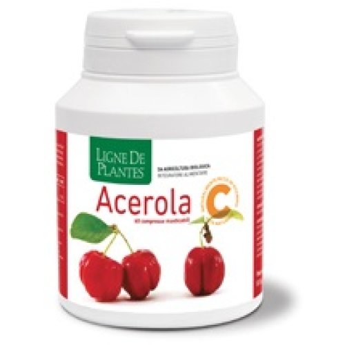ACEROLA BIO 60CPR MASTICABILI< ACEROLA BIO 60CPR MASTICABILI<