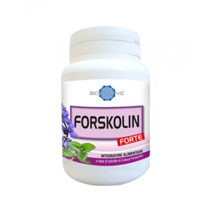 FORSKOLIN FORTE 60CPS