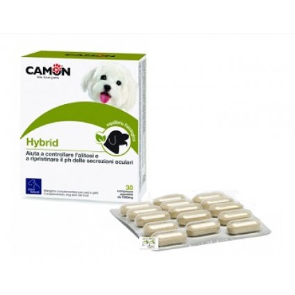 HYBRID 30CPR