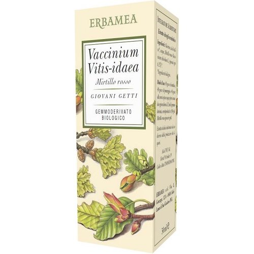 VACCINIUM VITIS IDAEA M R 50ML