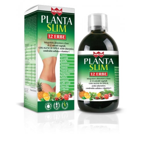 WINTER PLANTA SLIM 12ERBE500ML