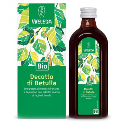 DECOTTO DI BETULLA 250ML