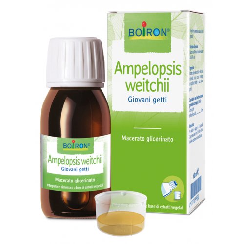 BO.AMPELOPSIS WEI MG 60ML INT