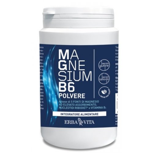 MAGNESIUM B6 POLV 200GR ERBA V