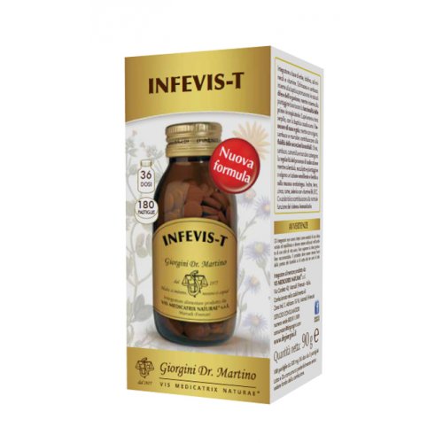 INFEVIS-T 180 Past.