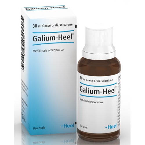 GALIUM 30ML GTT HEEL