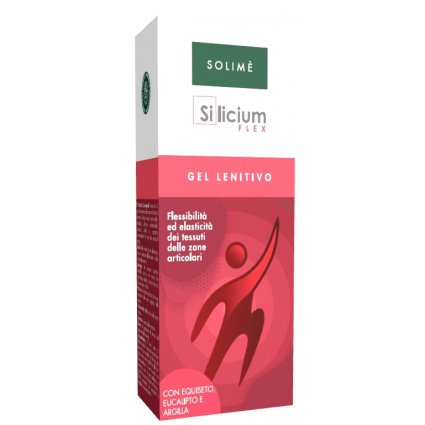 SILICIUM FLEX GEL 100ML