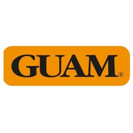 GUAM Panty Ventre Piatto S/M