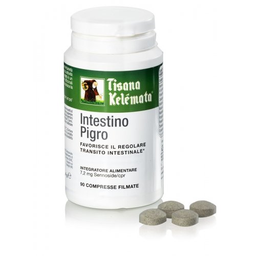 TISANA INTESTINO PIGRO 90CPR