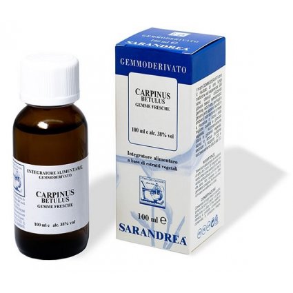 CARPINUS BETULUS 100ML MG