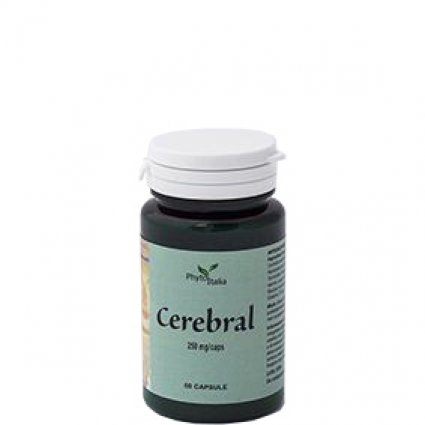 CEREBRAL AYURVED 60CPS