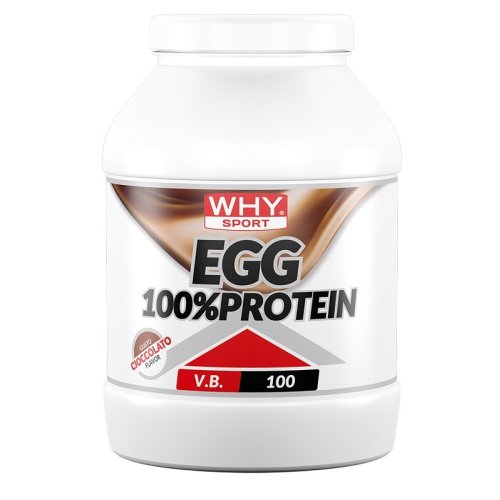 WHYSPORT EGG 100% PROTEIN CIOC