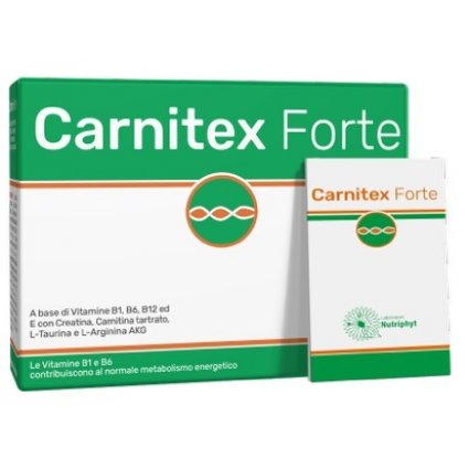 CARNITEX Forte*14 Bust.