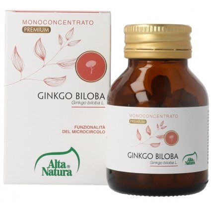 GINKGO BILOBA 100CPR 900MG