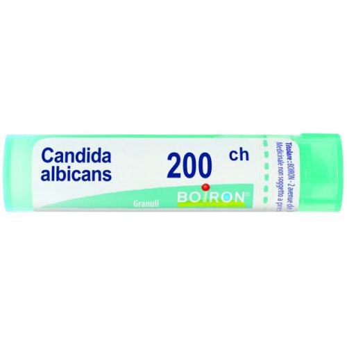 CANDIDA ALBICANS 200CH GR BO