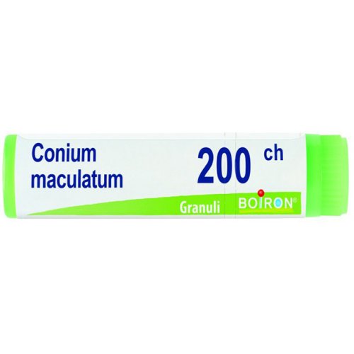 BO.CONIUM MACUL.Dose 200CH