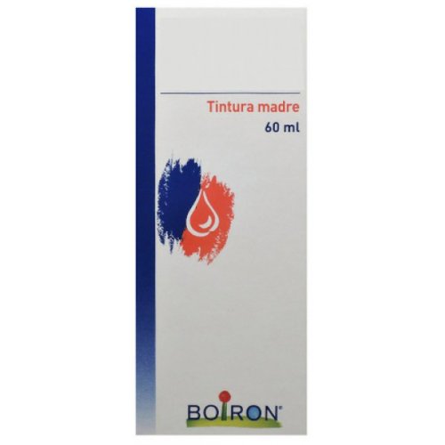 BO.THUYA TM 60ML