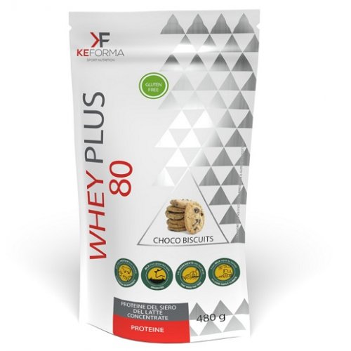 WHEY PLUS 80 CHOCO BISCUIT480G