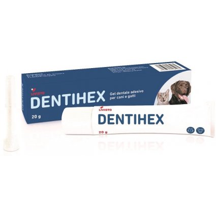 DENTIHEX Gel Dent.CaniGatti20g