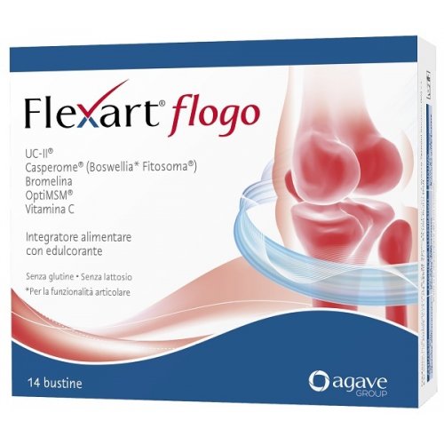 FLEXART FLOGO 14BUST