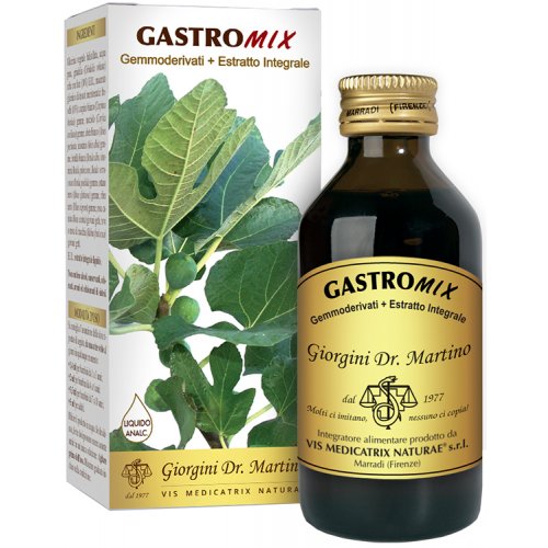 GASTROMIX LIQUIDO ANALC 100ML