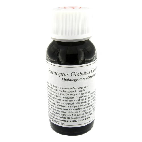 56S EUCALYPTUS GLOBULUS COMP
